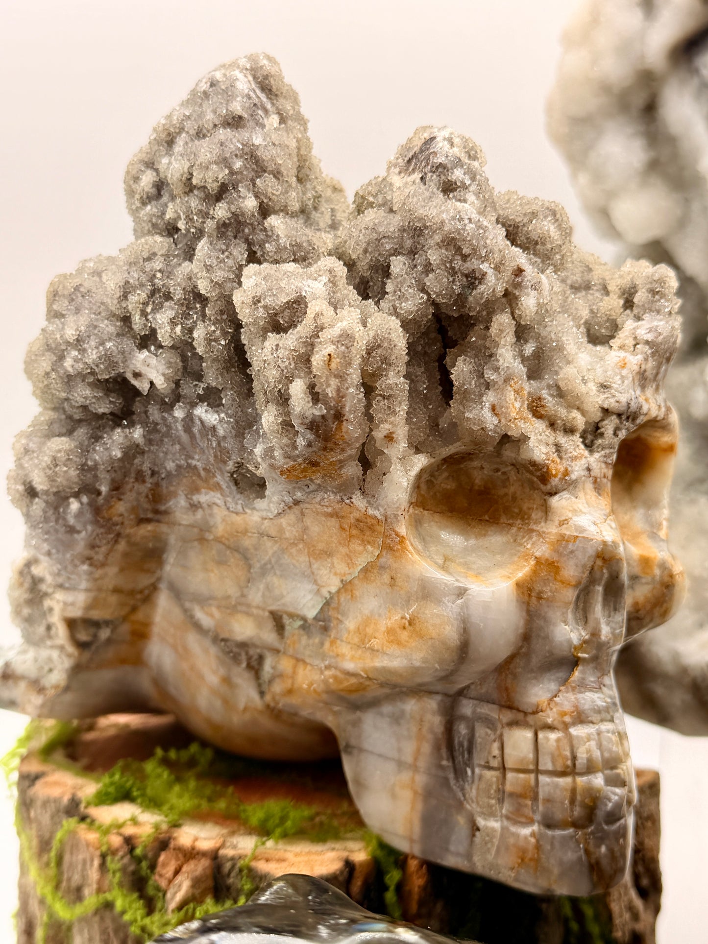 Ibis Jasper Druzy Quartz Skull