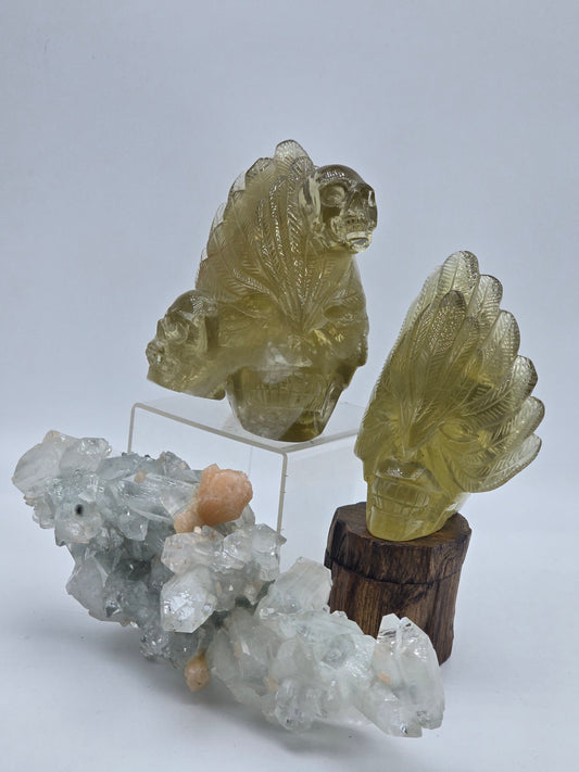 Citrine Feather Headdress Skull Art