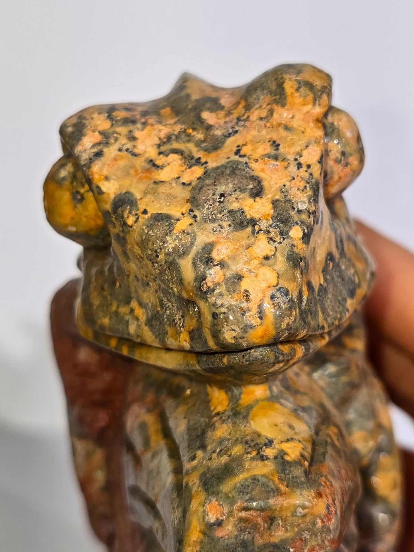 Bird's Eye Rhyolite Chamelion