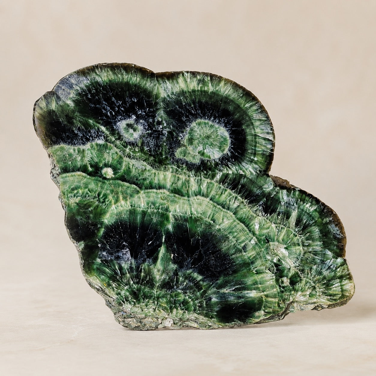 Natural green Seraphinite with silvery feather-like mineral patterns
