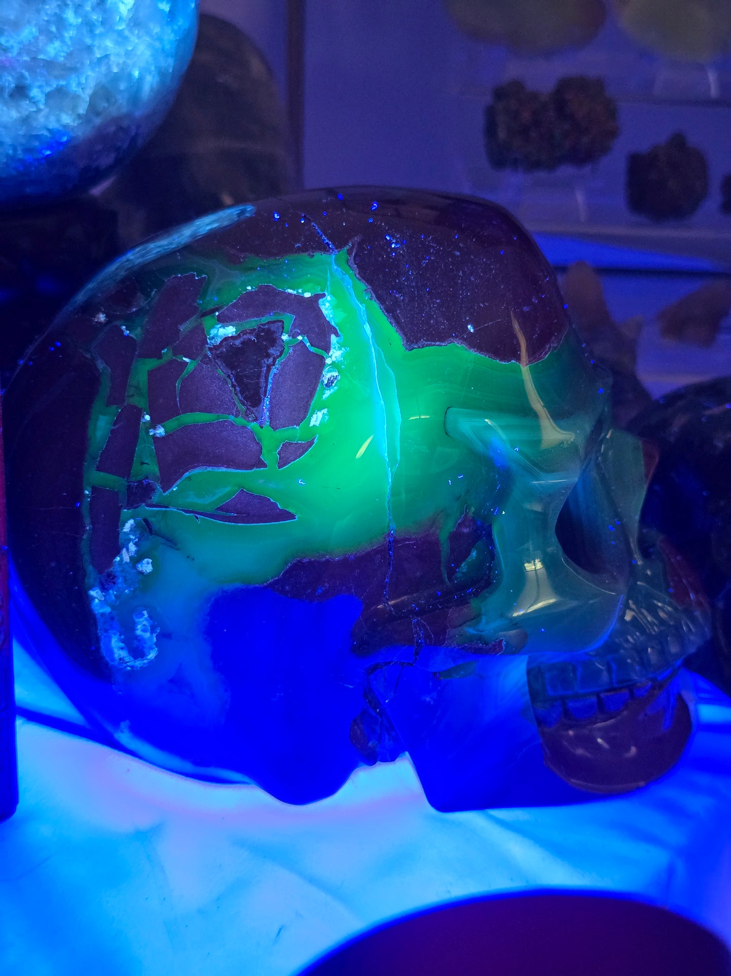 Blue Chalcedony & Red Brecciated jasper skull :The Mosaic Rose