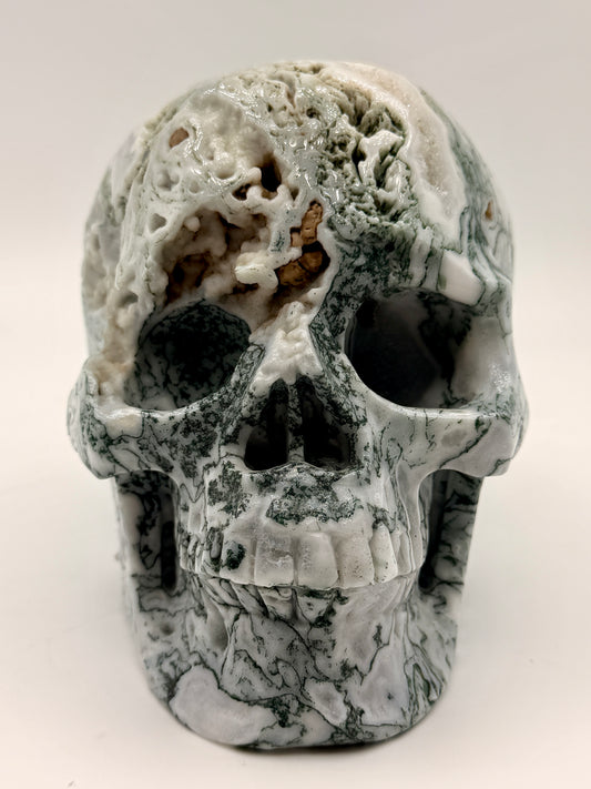 Moss Agate Skull