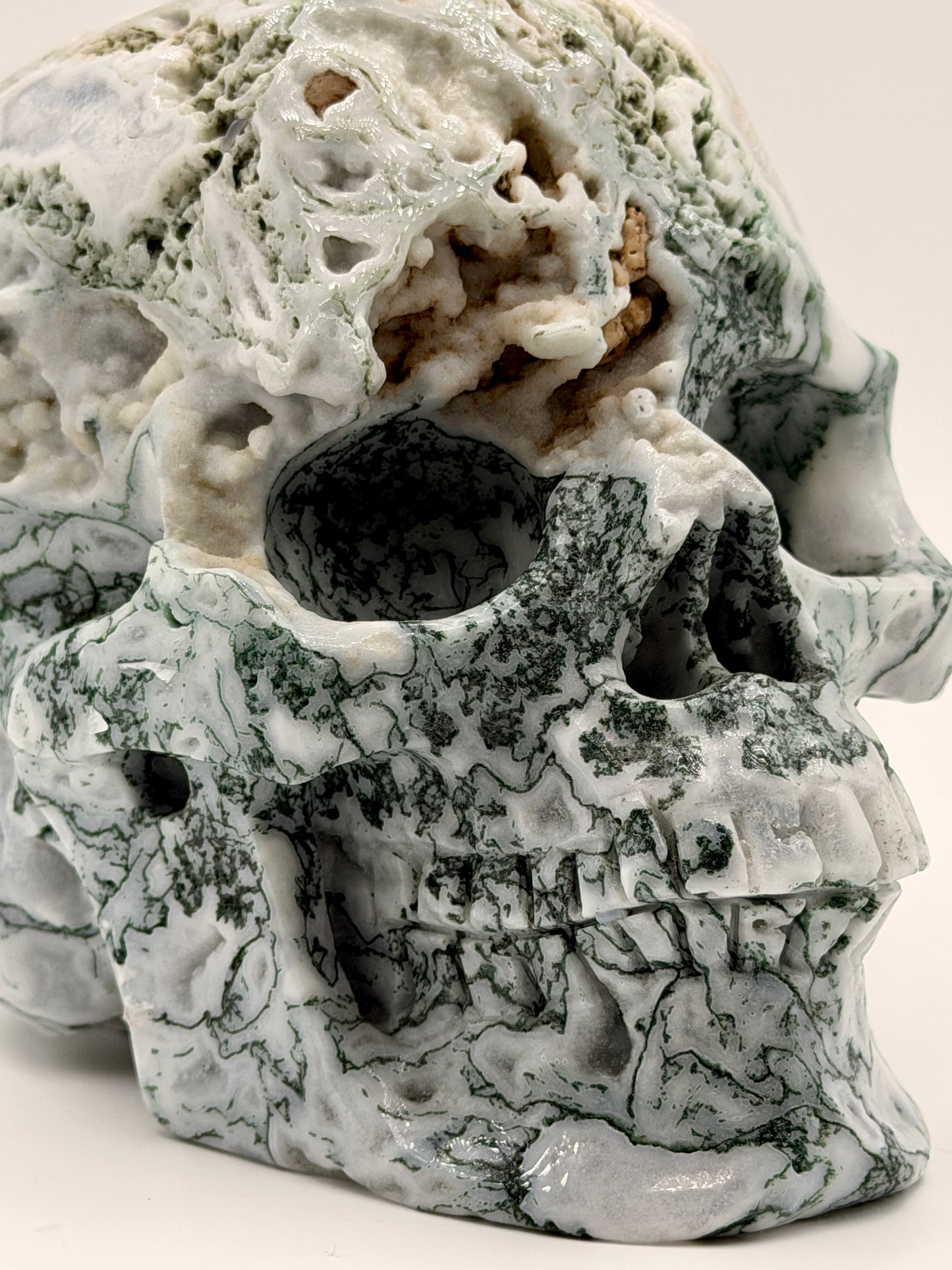 Moss Agate Skull