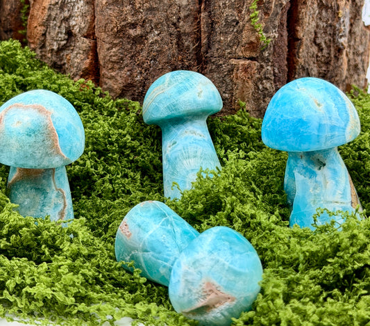 Blue Aragonite Mushrooms