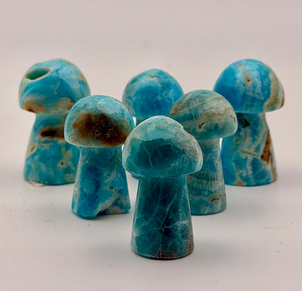 Blue Aragonite Mushrooms