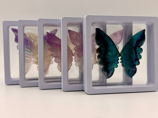 Fluorite Butterfly Wings
