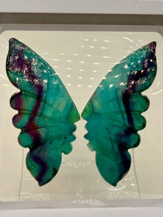 Fluorite Butterfly Wings