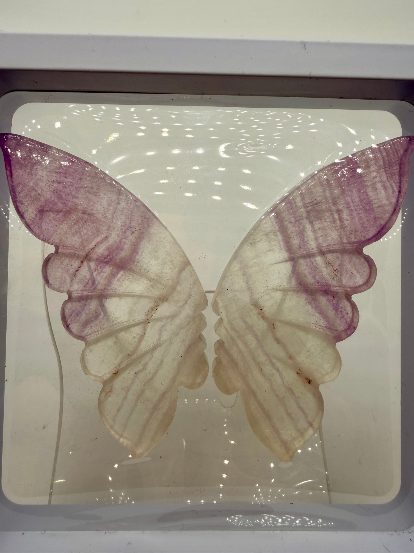 Fluorite Butterfly Wings