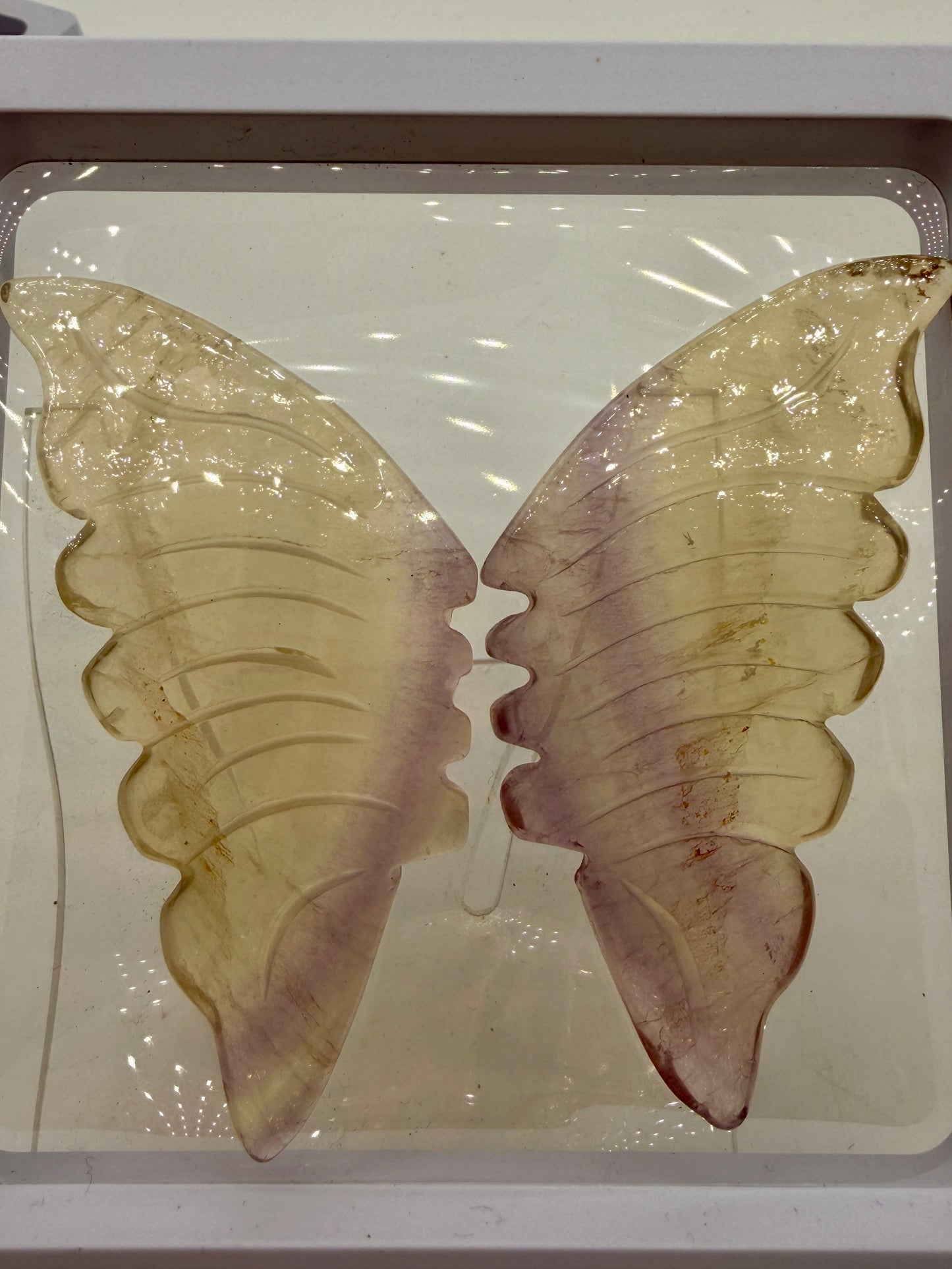 Fluorite Butterfly Wings
