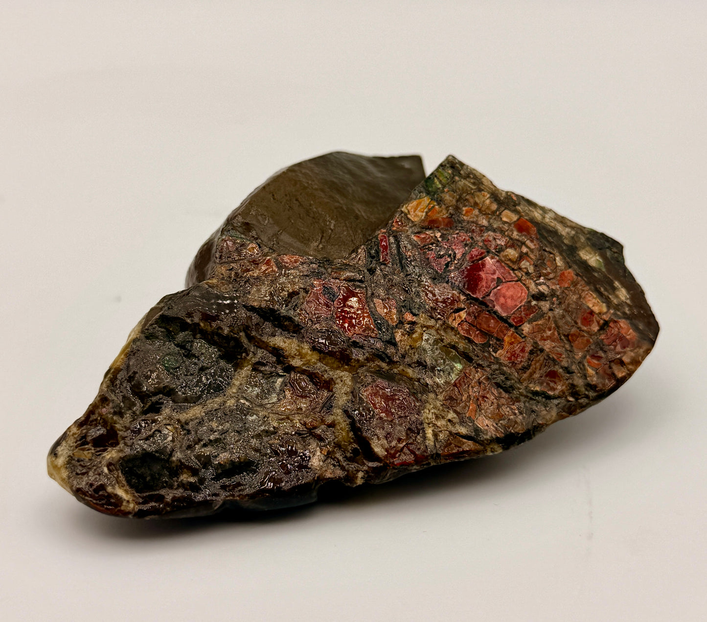 Ammolite