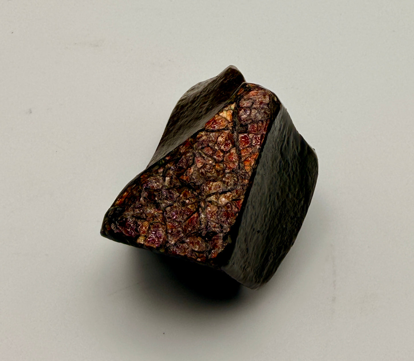 Ammolite