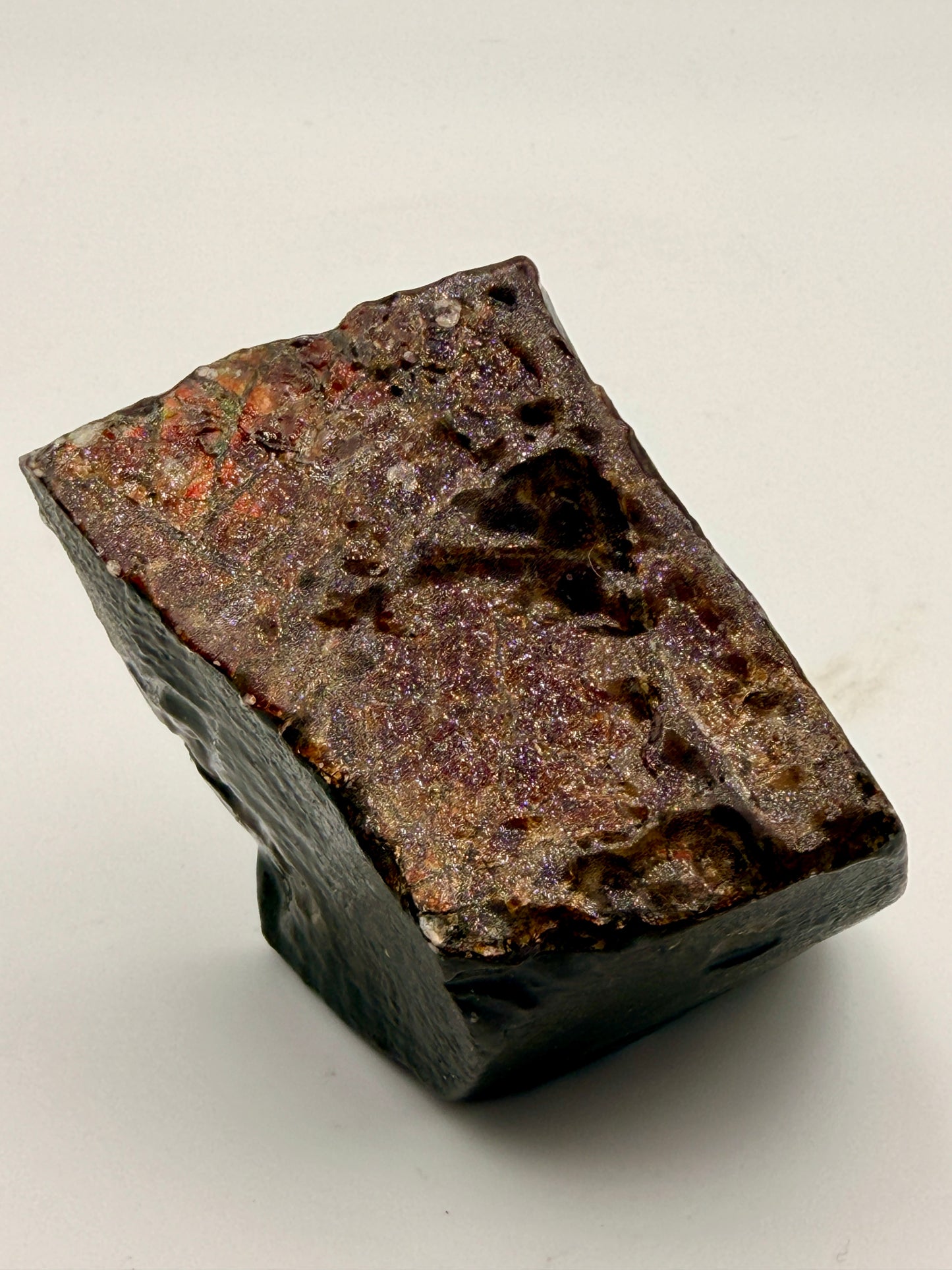 Ammolite