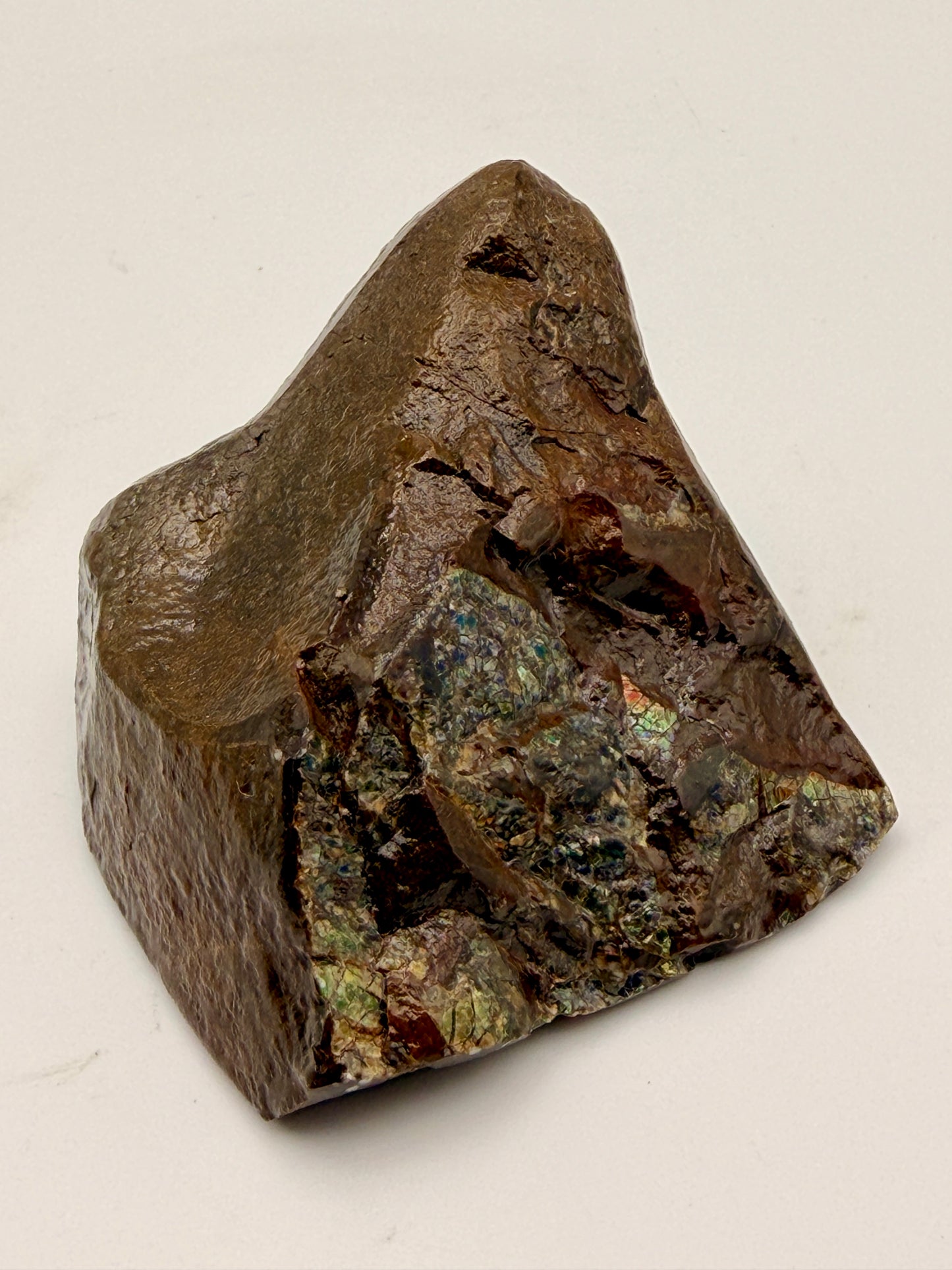 Ammolite