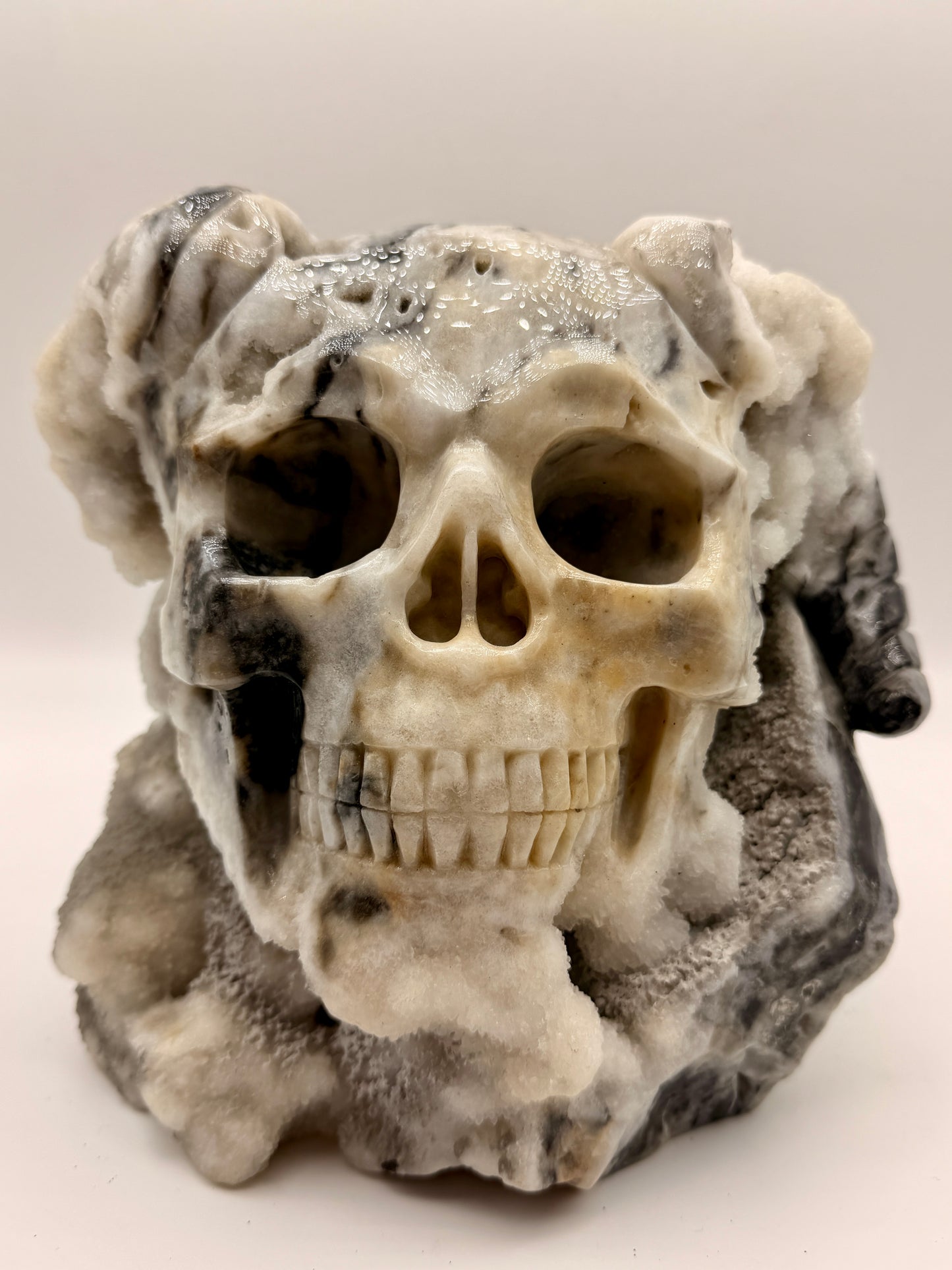 Zebra Jasper and Druzy Quartz Horned Skull Art