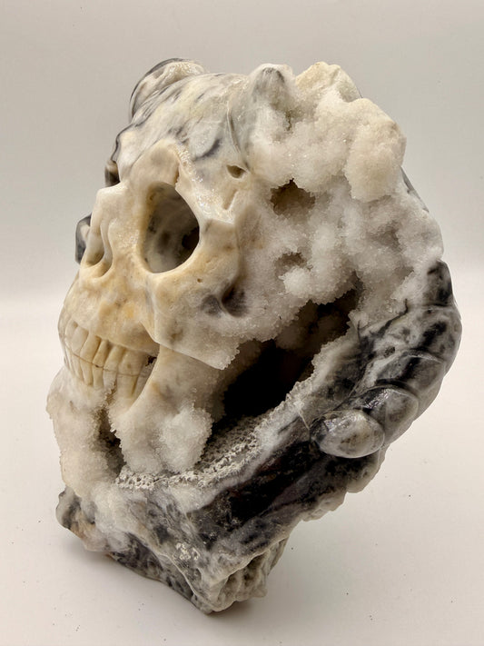 Zebra Jasper and Druzy Quartz Horned Skull Art