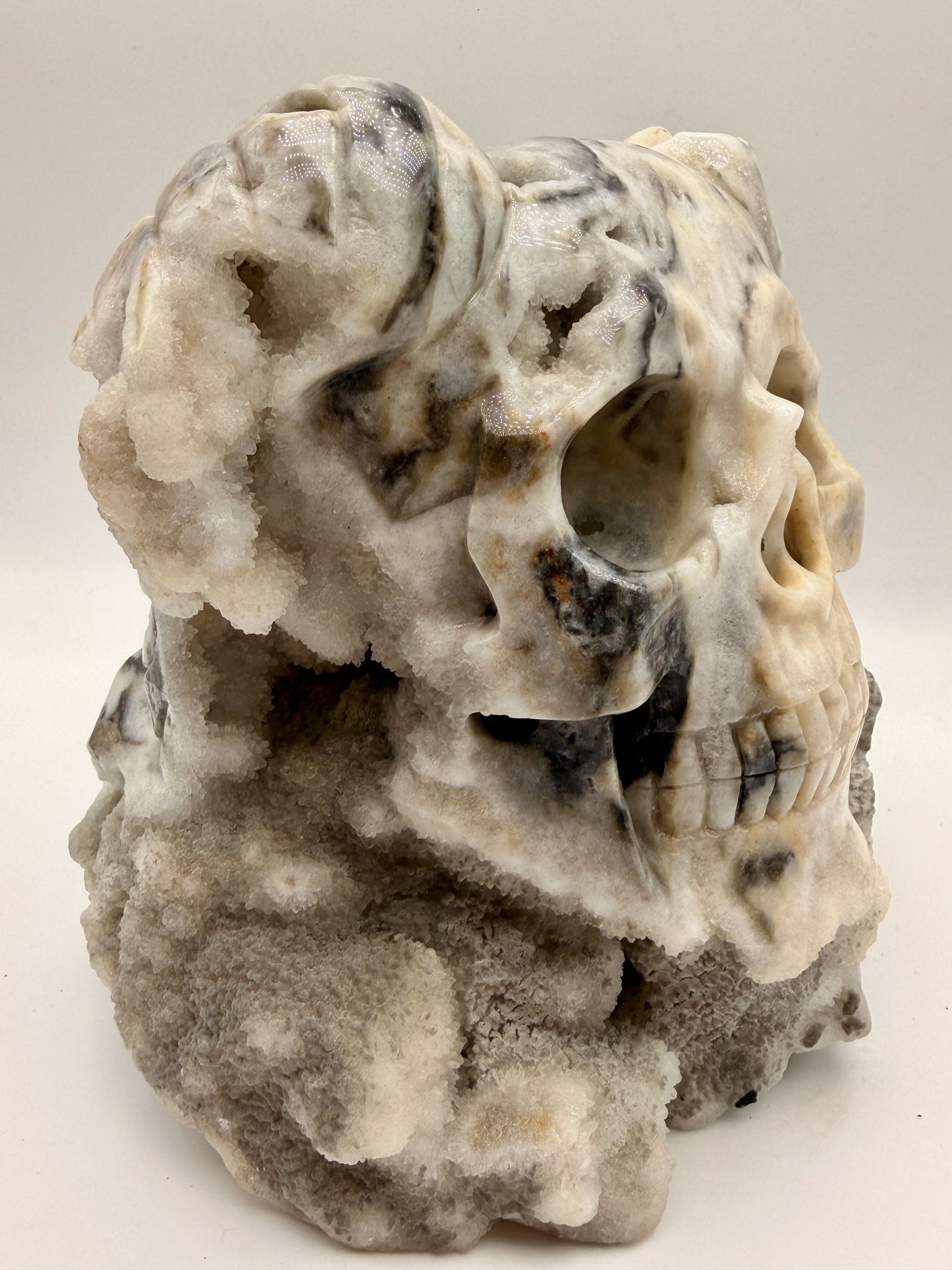 Zebra Jasper and Druzy Quartz Horned Skull Art