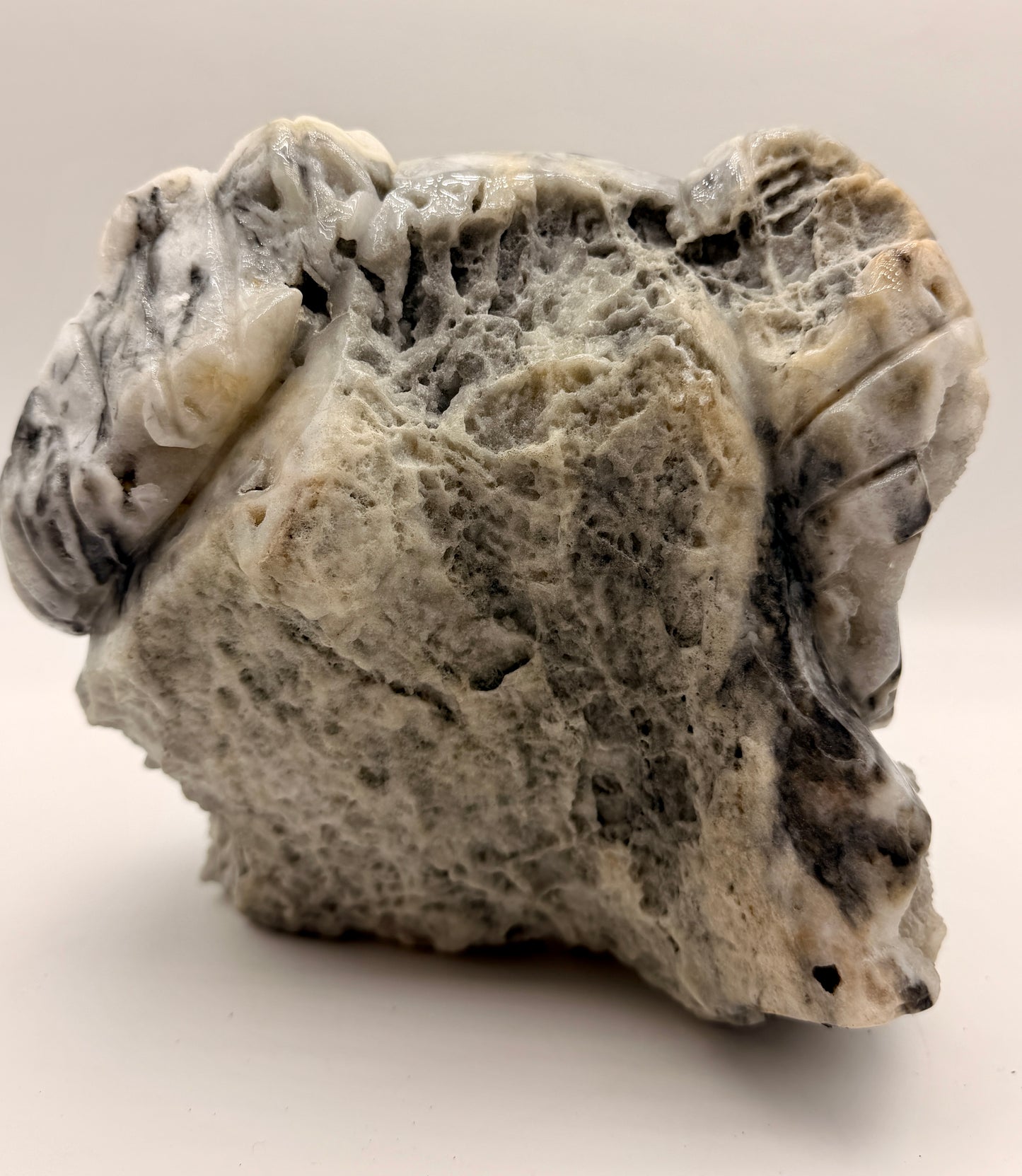 Zebra Jasper and Druzy Quartz Horned Skull Art