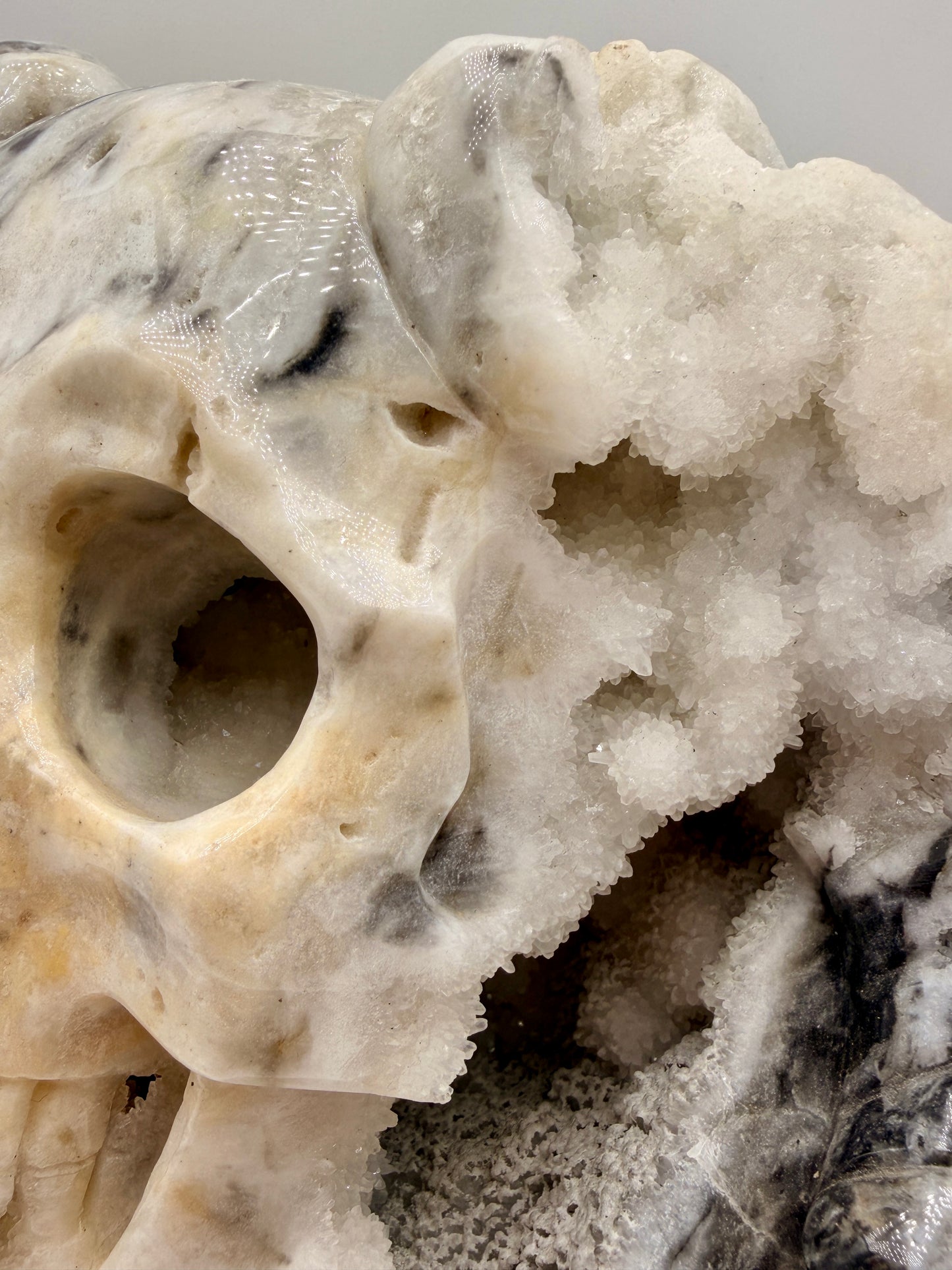 Zebra Jasper and Druzy Quartz Horned Skull Art