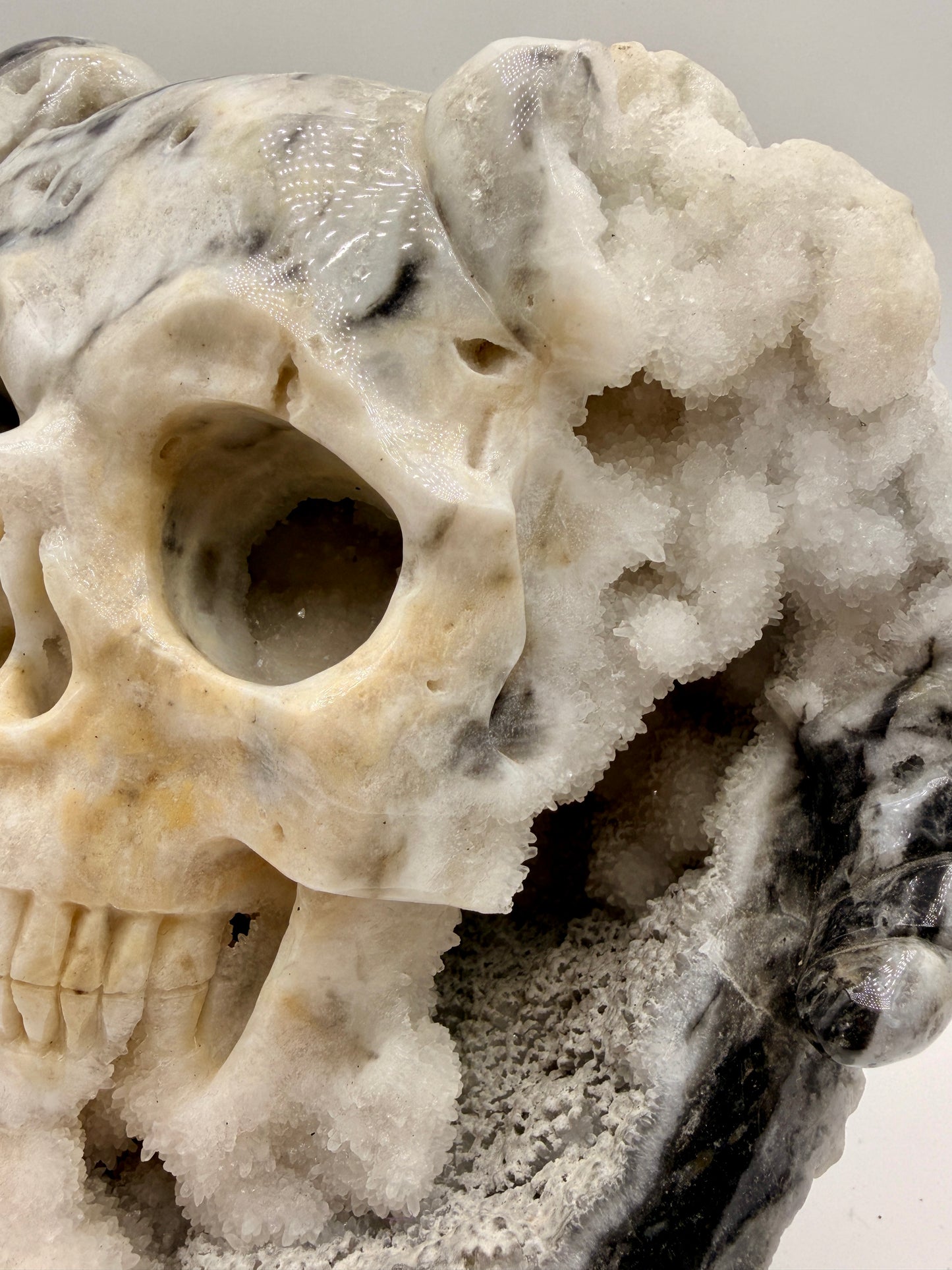 Zebra Jasper and Druzy Quartz Horned Skull Art