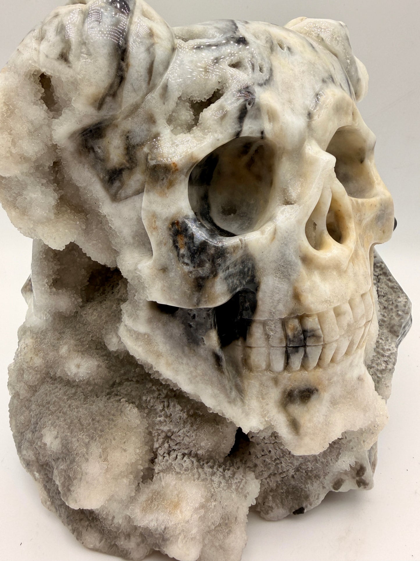Zebra Jasper and Druzy Quartz Horned Skull Art