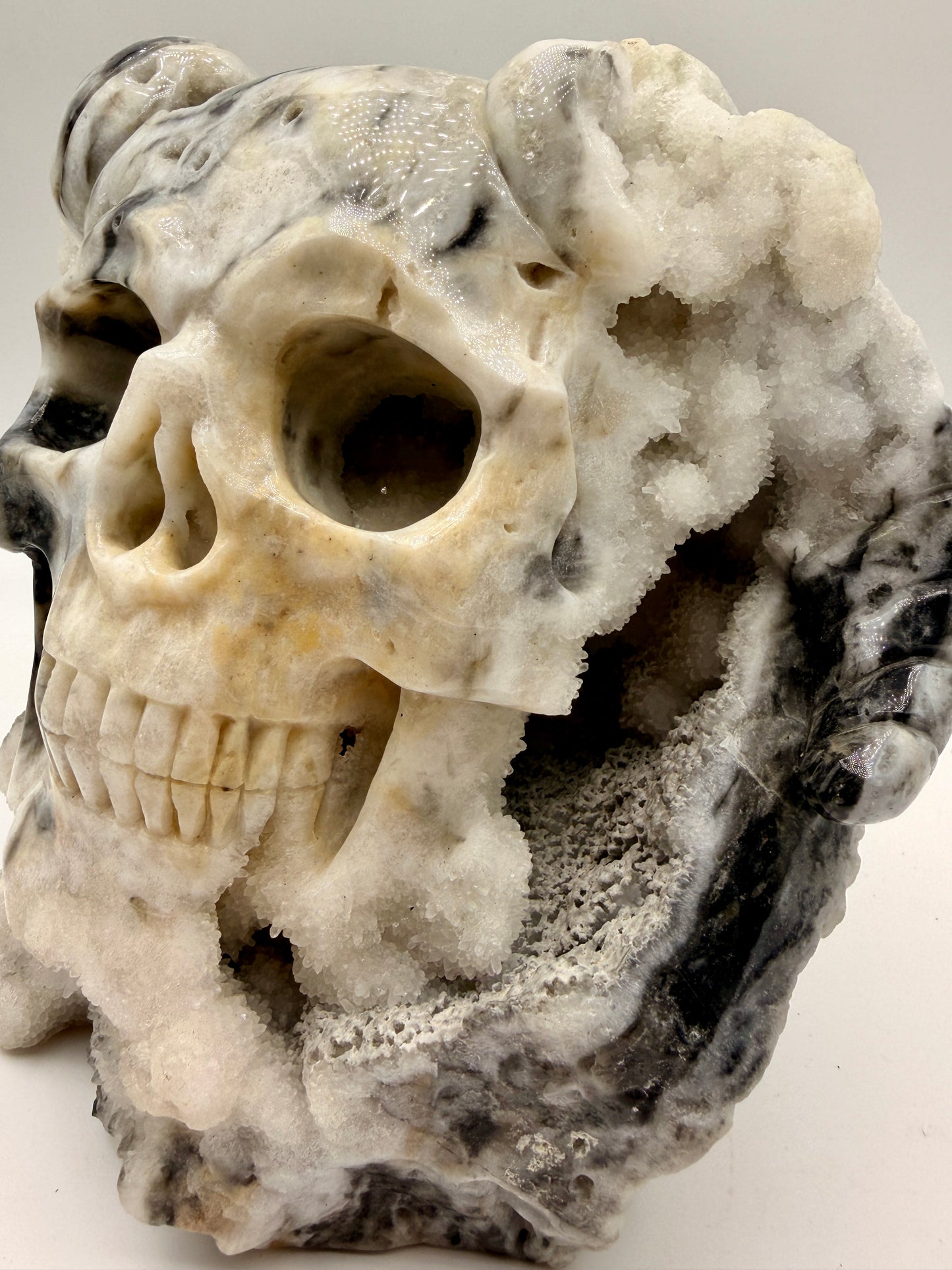 Zebra Jasper and Druzy Quartz Horned Skull Art
