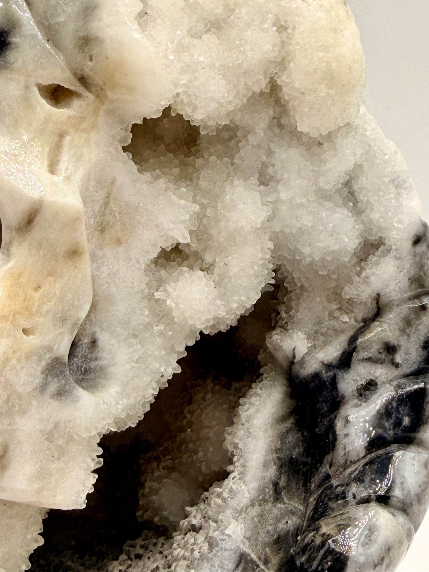 Zebra Jasper and Druzy Quartz Horned Skull Art