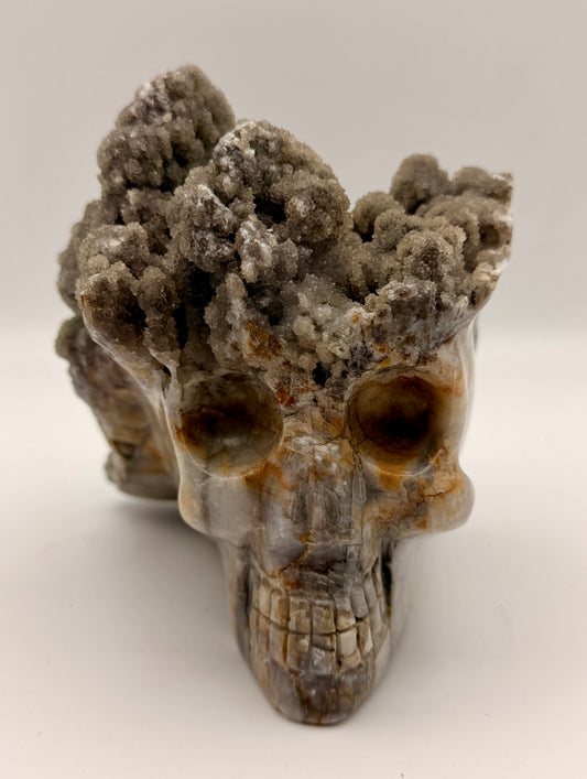 Ibis Jasper Druzy Quartz Skull