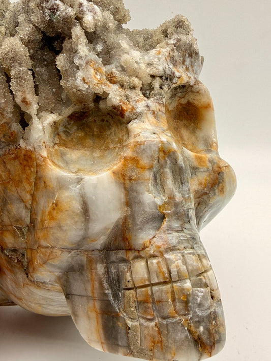 Ibis Jasper Druzy Quartz Skull