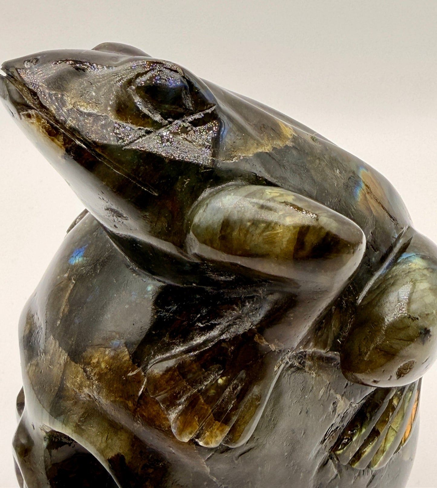 Labradorite Frog Skull