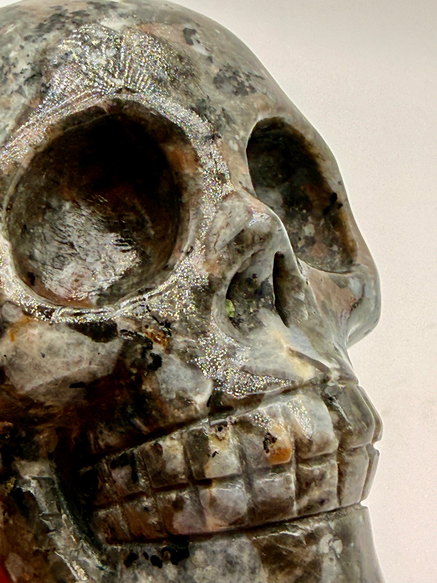 Yooperlite Skulls