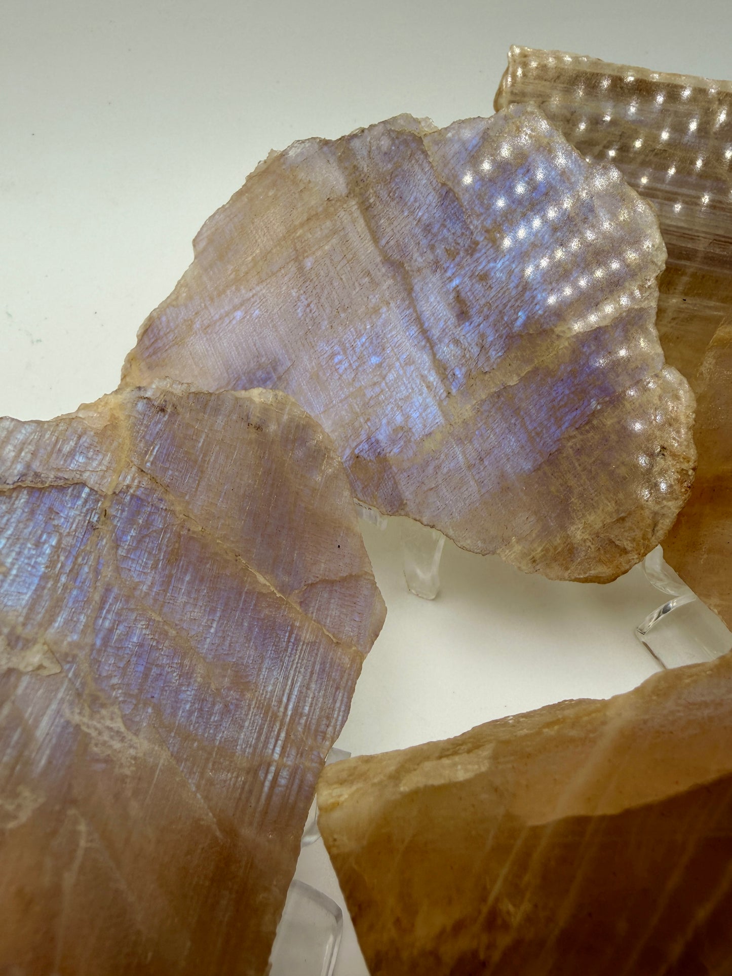Moonstone and Sunstone Slabs