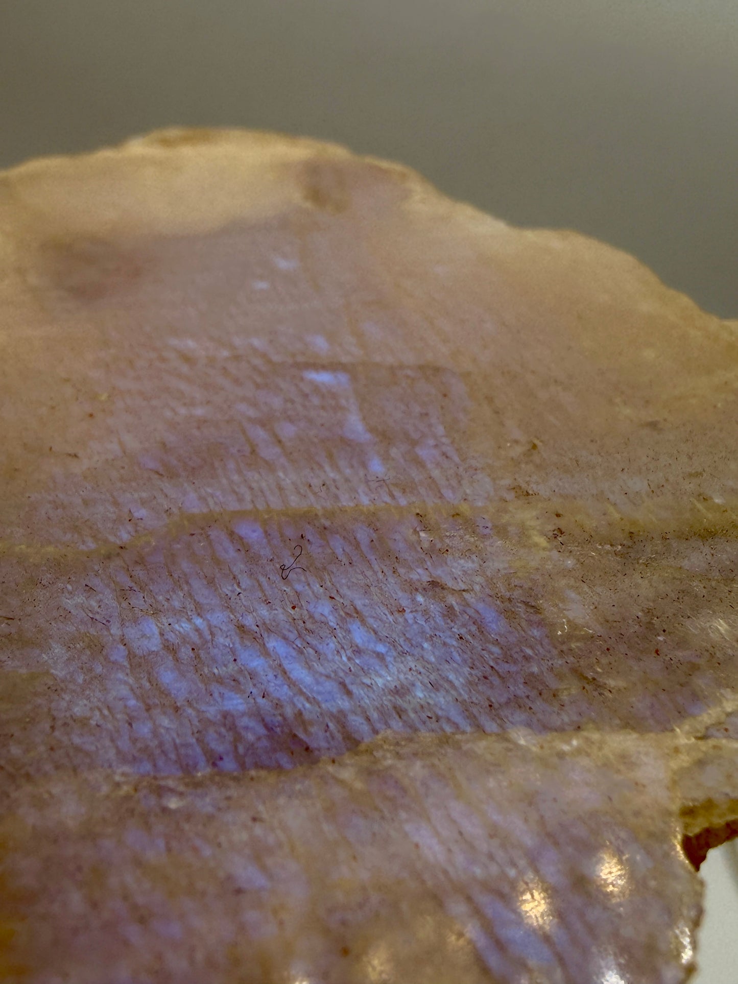 Moonstone and Sunstone Slabs