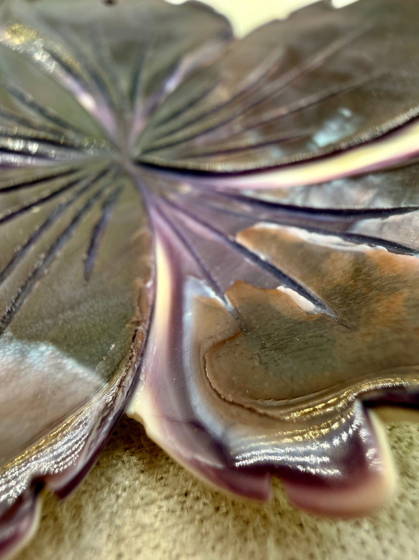 Wampum Shell Flower Beads