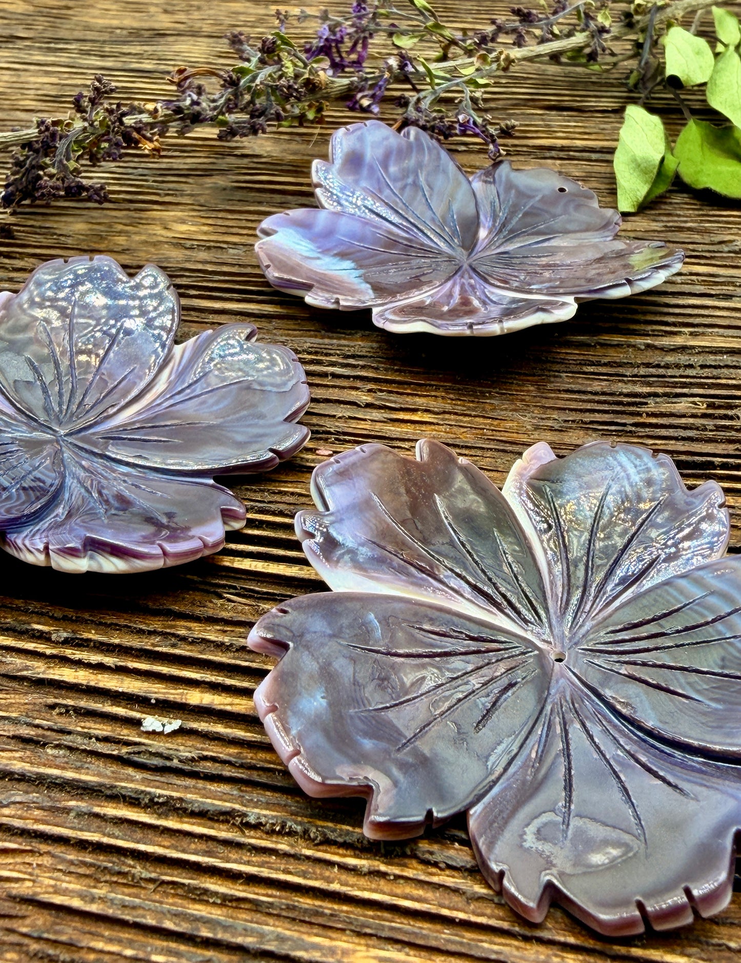 Wampum Shell Flower Beads