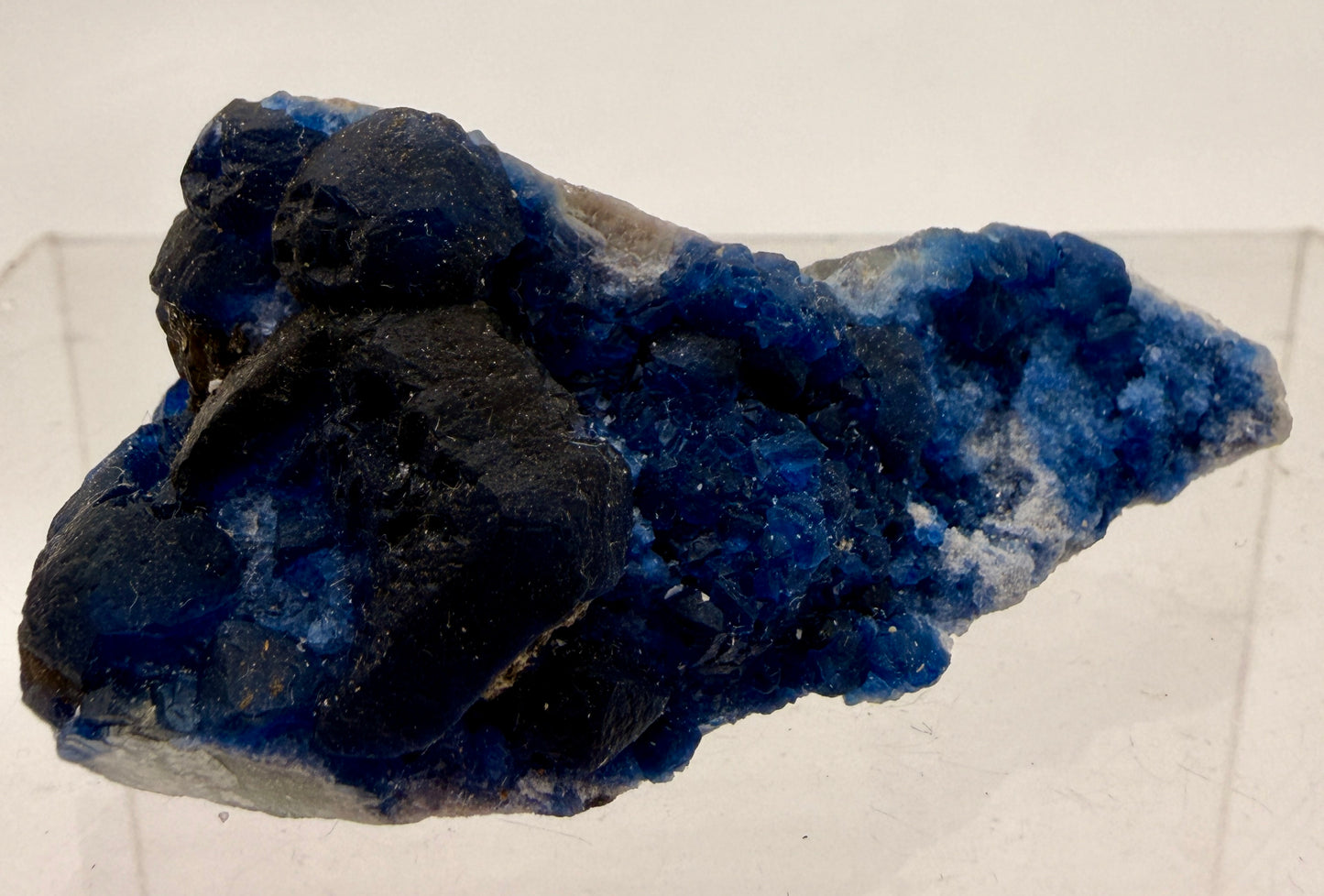 Blue Botryoidal Fluorite Pseudomorphs – Inner Mongolia