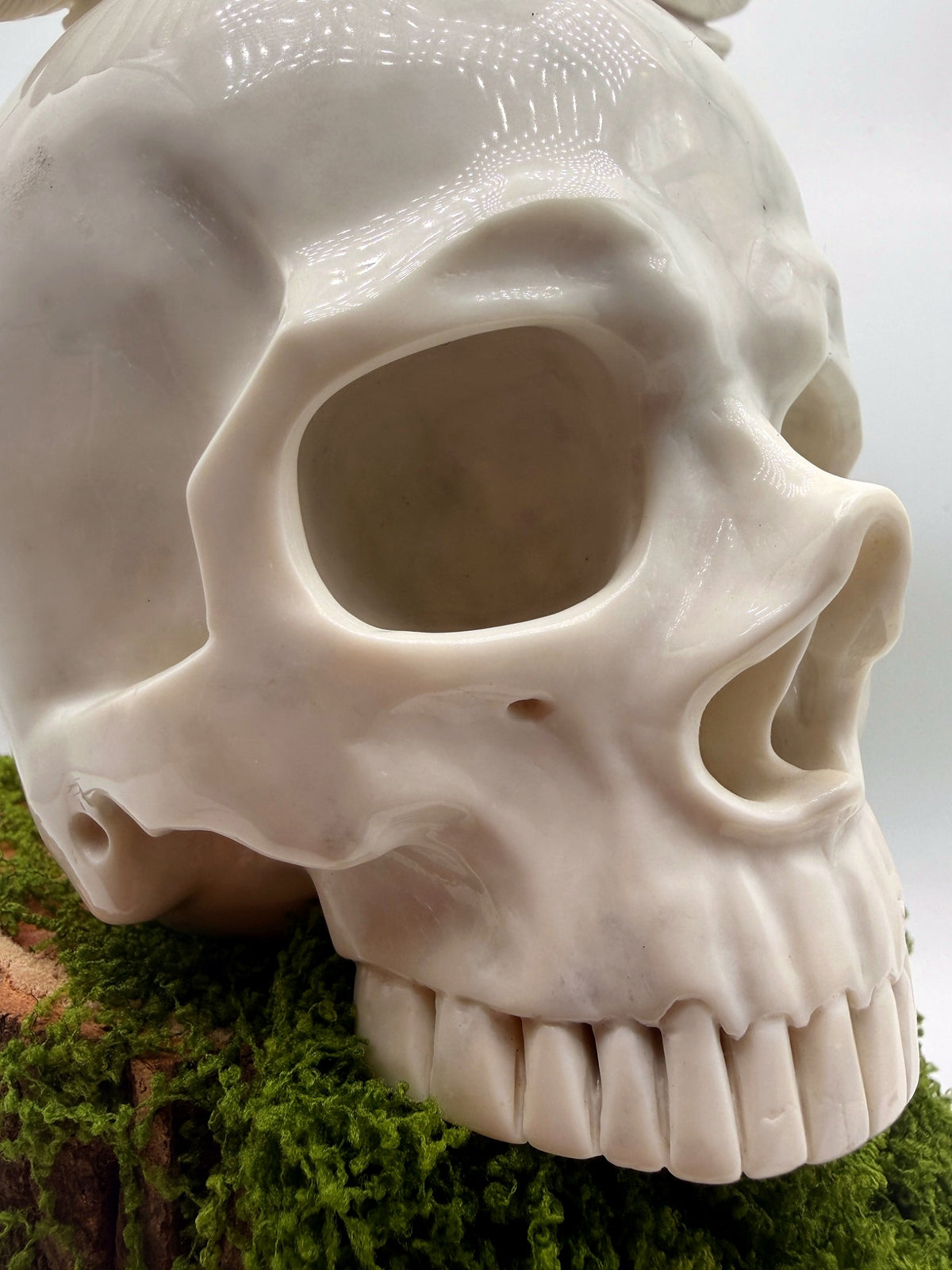 “Messenger of Death” White Jade Skull & Owl Carving – 9" Collector Sculpture