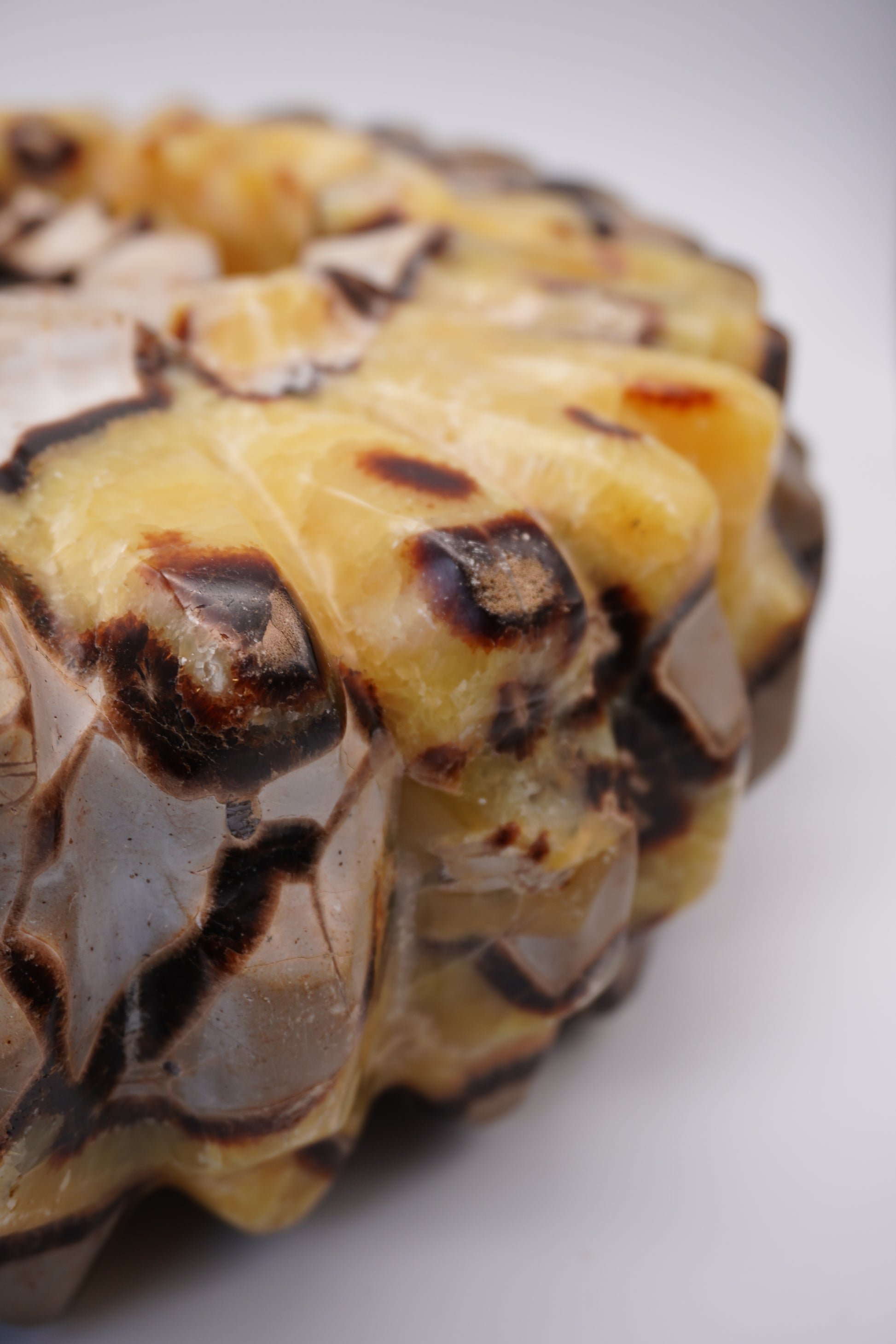 Septarian Ammonite Carving