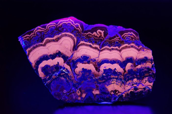 Schalenblende Slabs