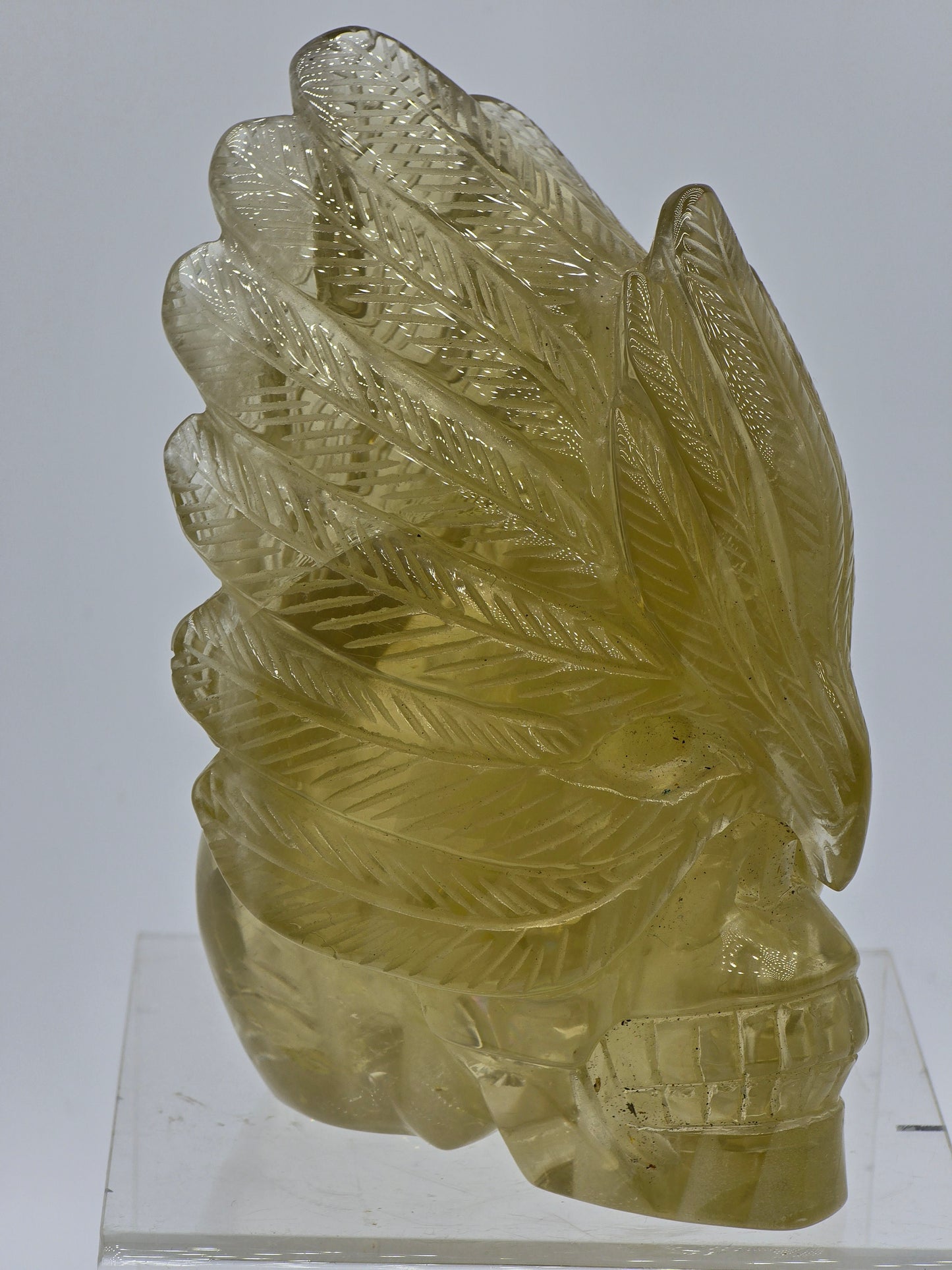 Citrine Feather Headdress Skull Art