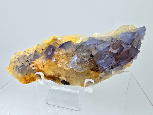 Blue & Purple Fluorite