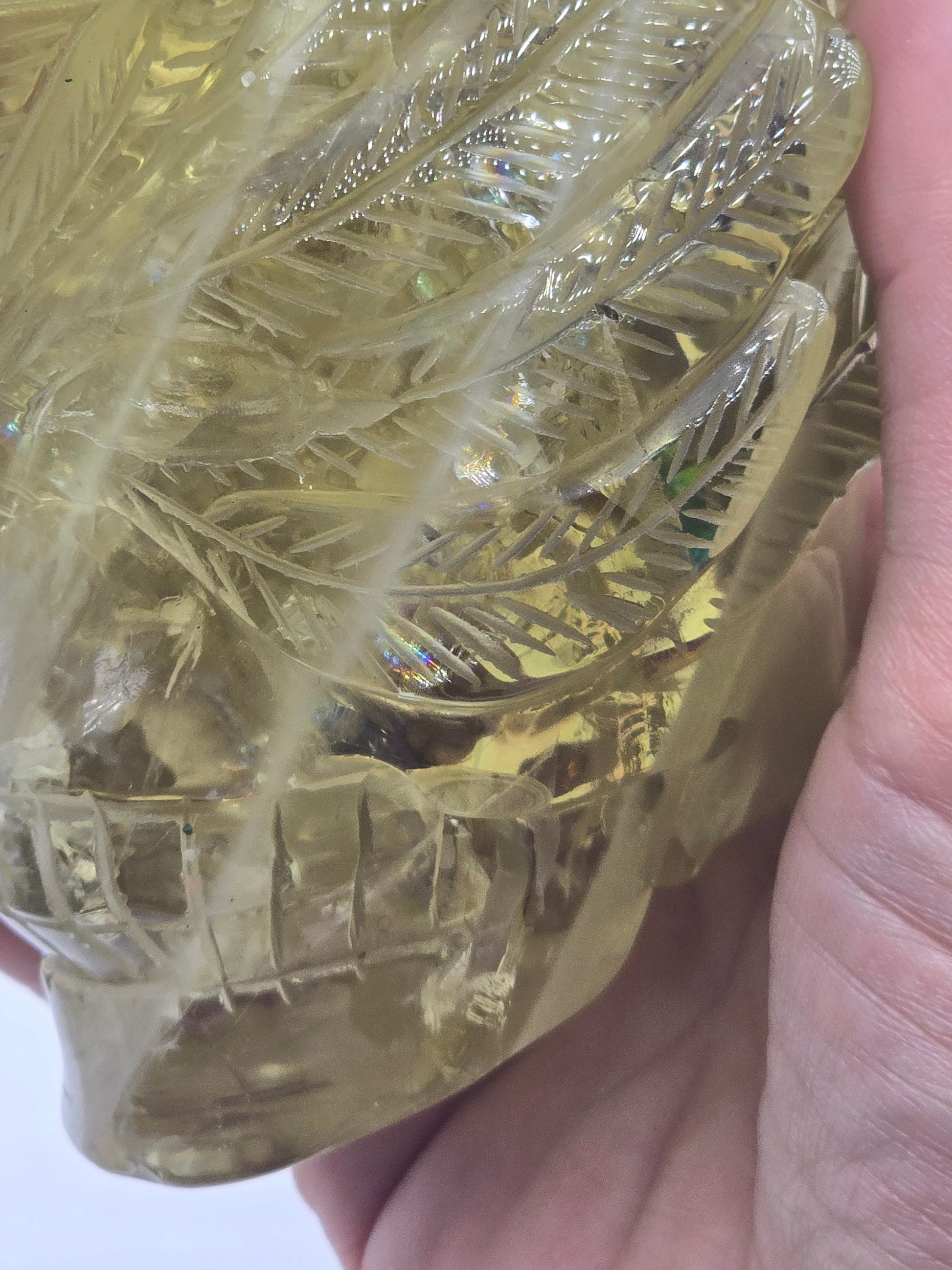 Citrine Feather Headdress Skull Art