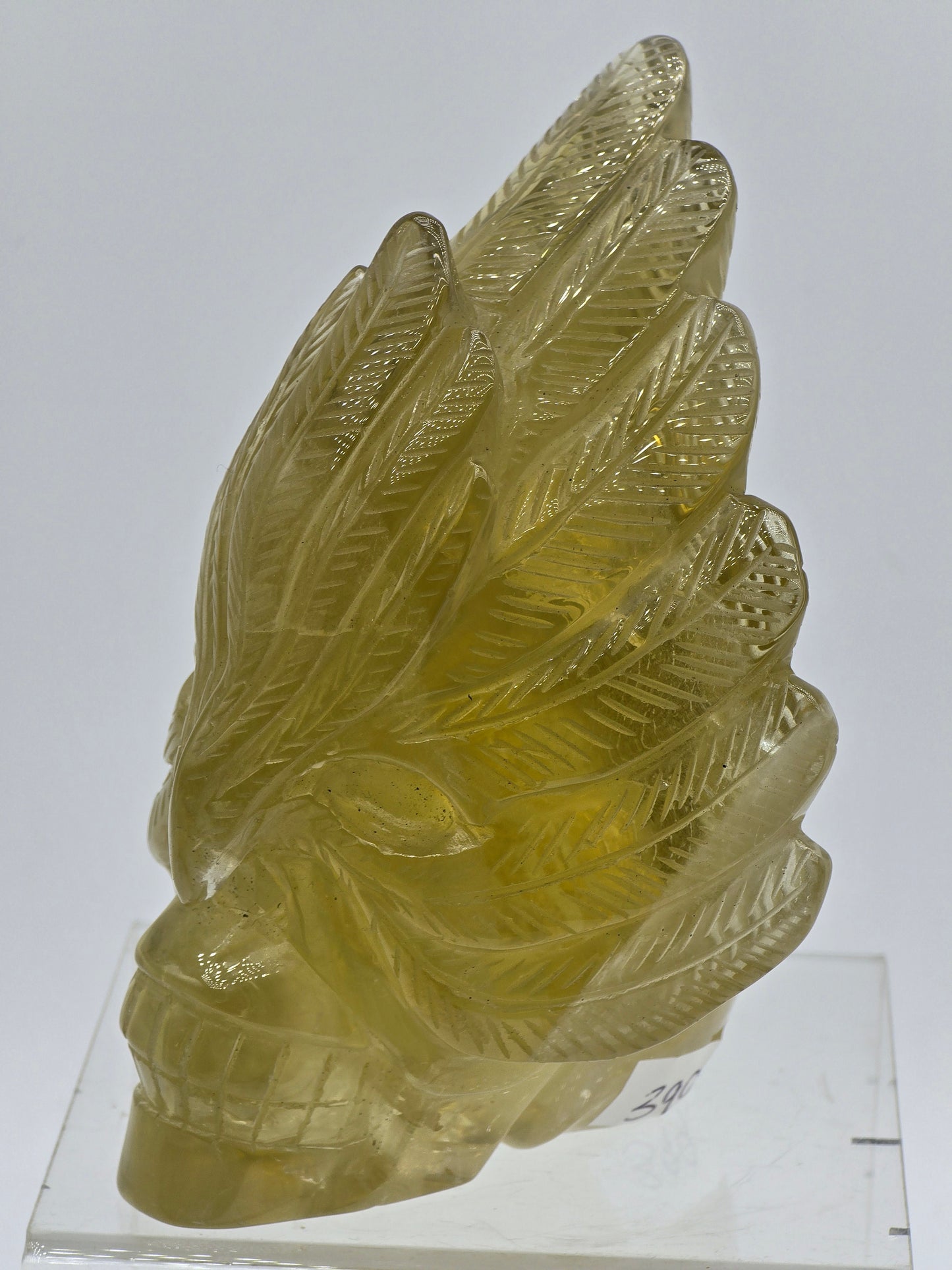 Citrine Feather Headdress Skull Art