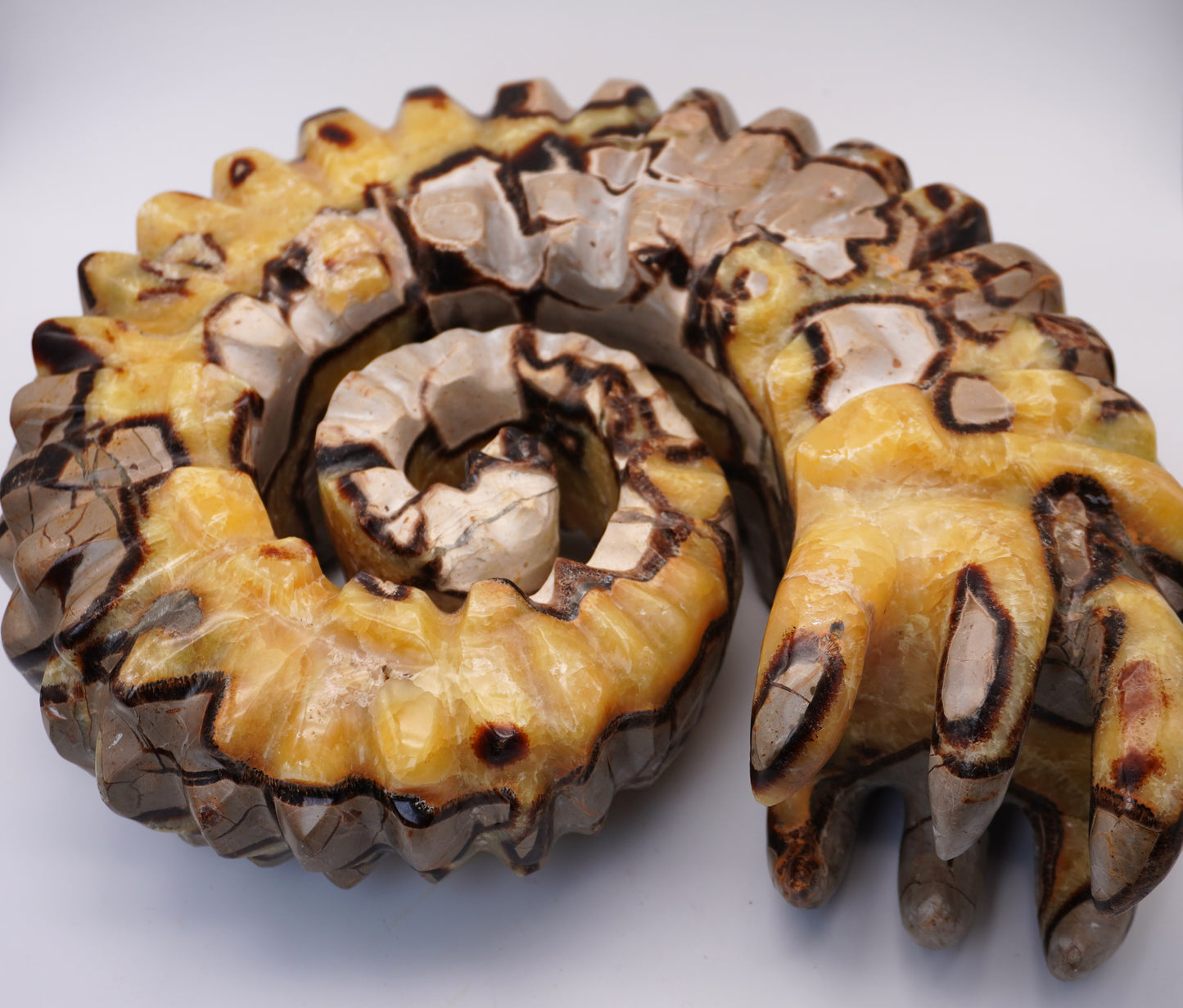 Septarian Ammonite Carving