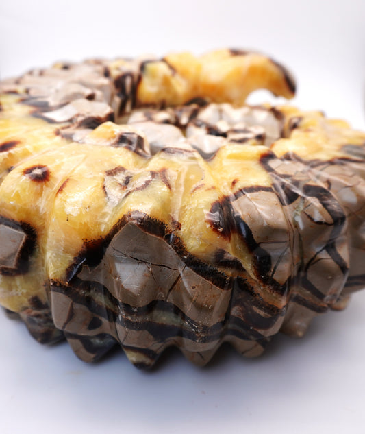 Septarian Ammonite Carving