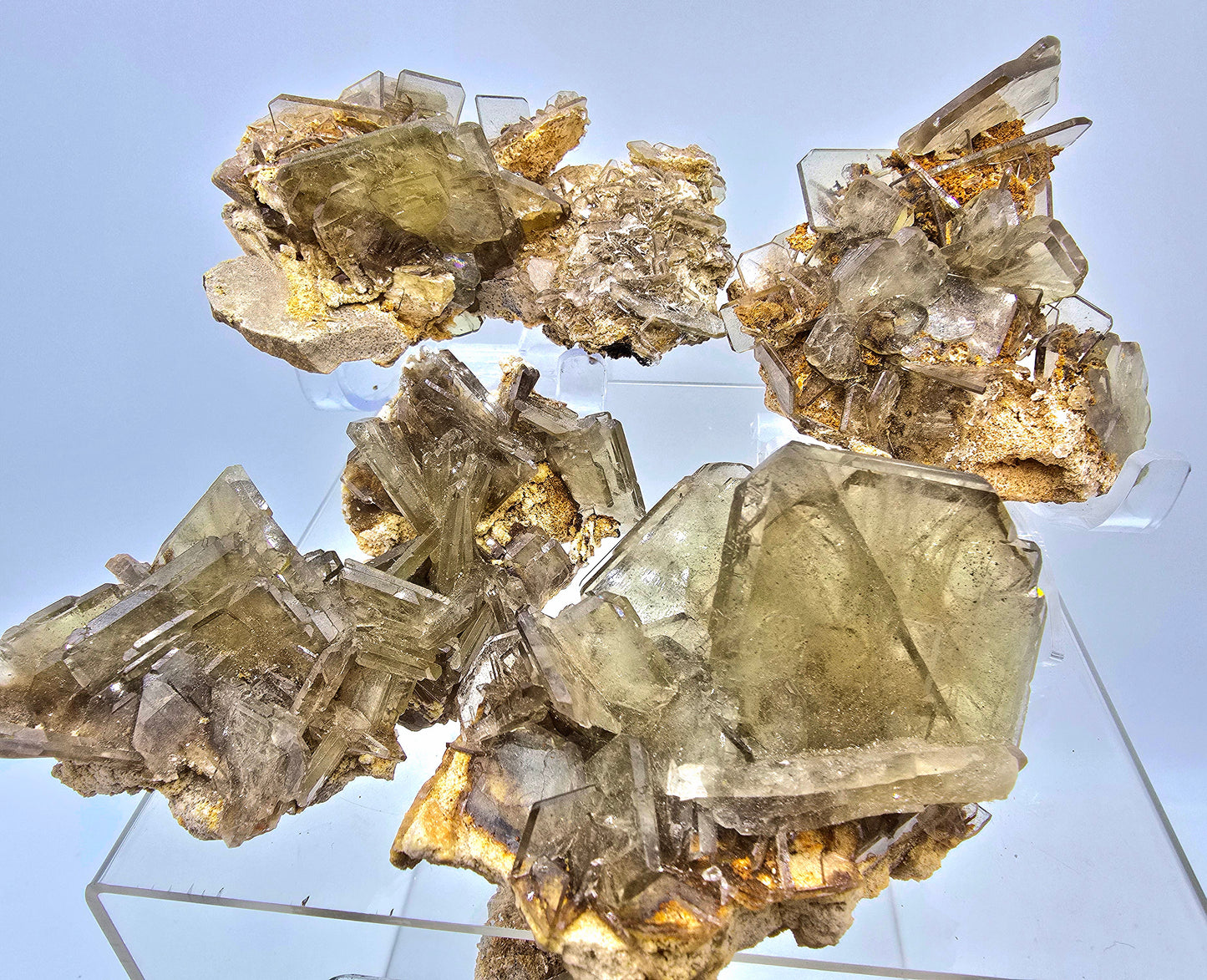 Golden Barite & Pyrite