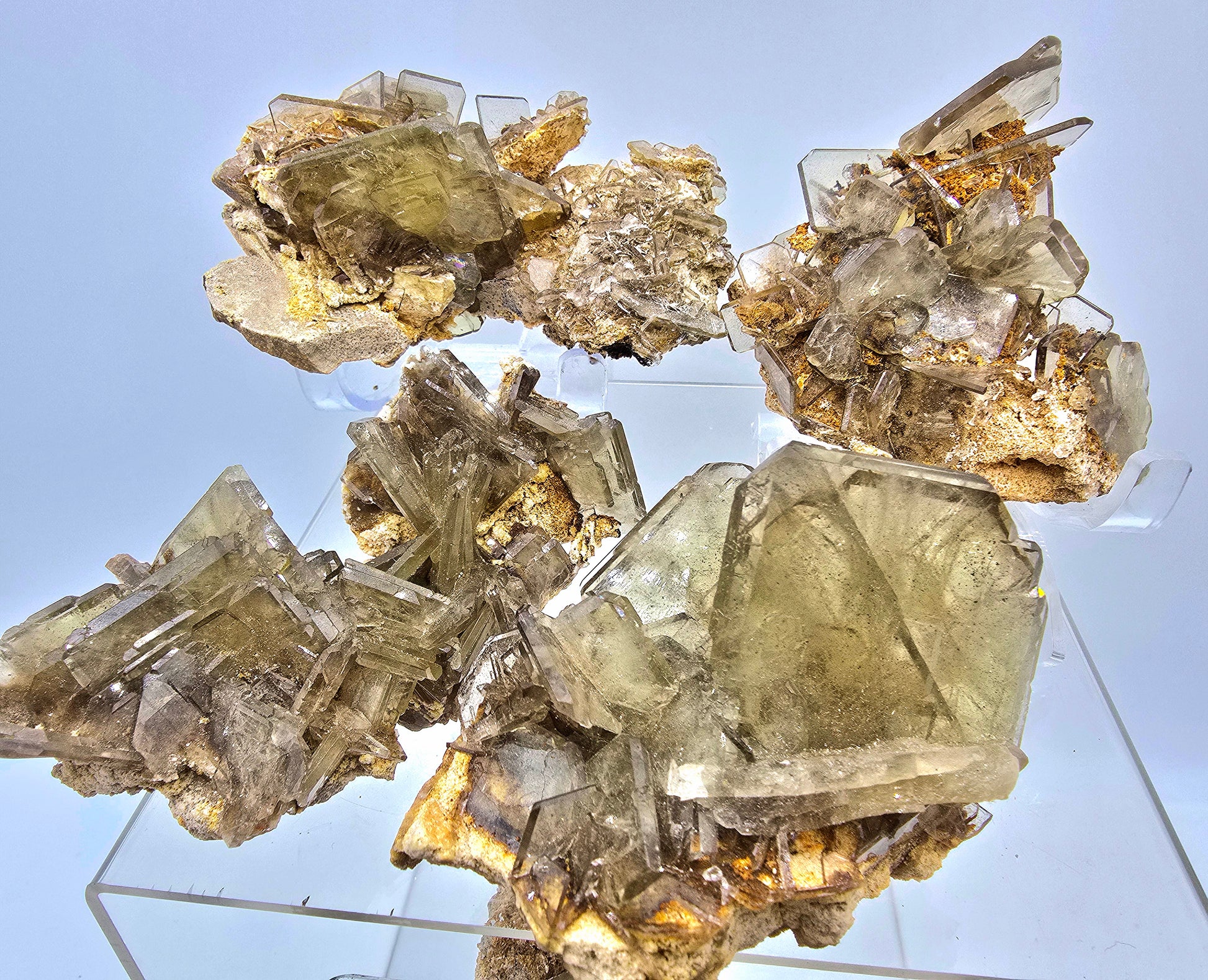 Golden Barite & Pyrite