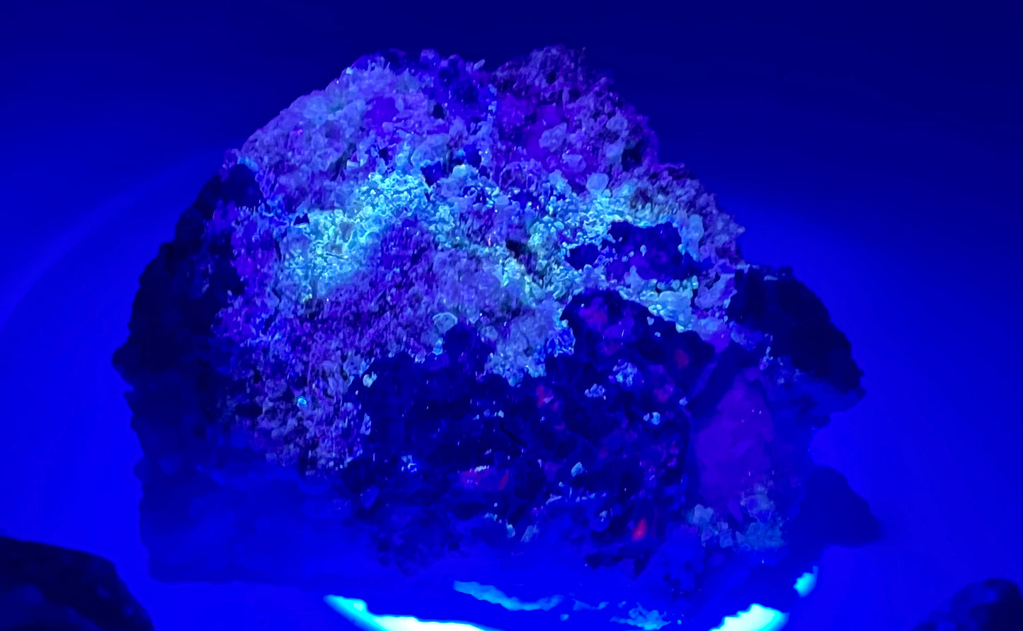 Afghanite