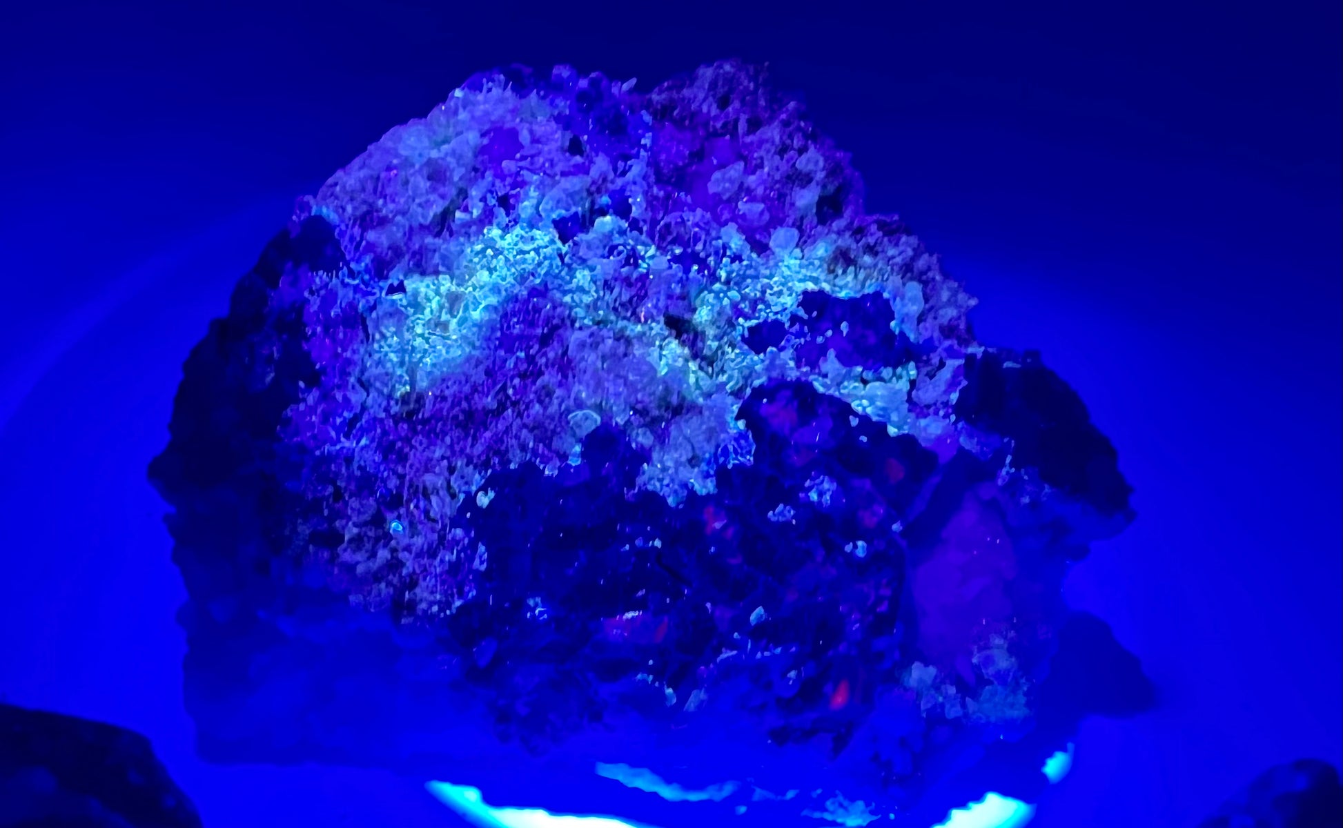 Afghanite