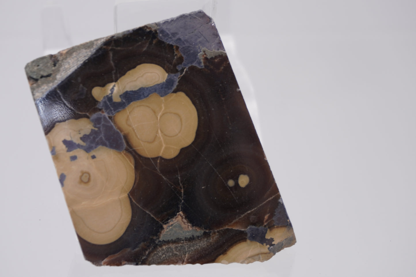 Schalenblende Slabs