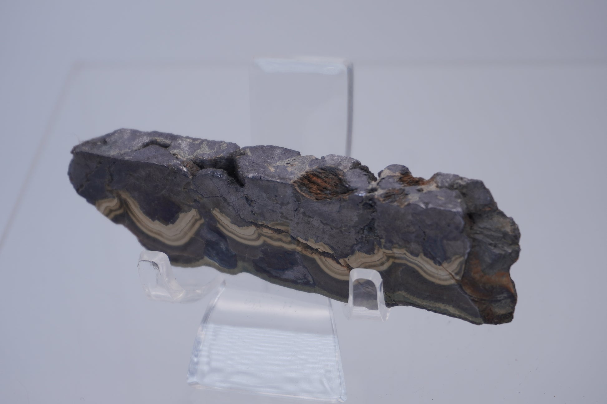 Schalenblende Slabs